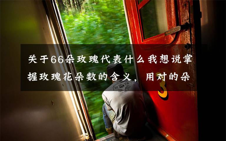 关于66朵玫瑰代表什么我想说掌握玫瑰花朵数的含义,用对的朵数送对的人!