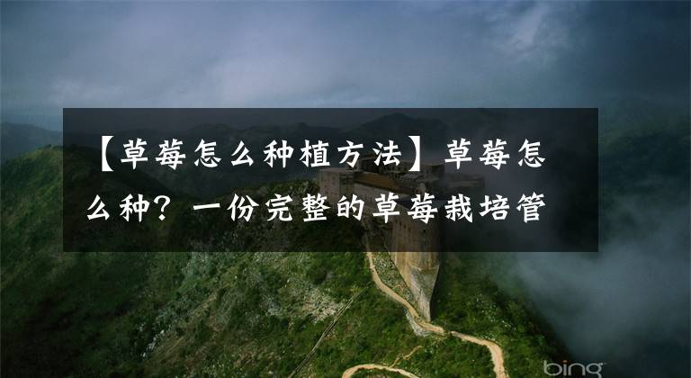 【草莓怎么种植方法】草莓怎么种？一份完整的草莓栽培管理方案送给你，建议收藏