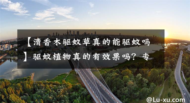 【清香木驱蚊草真的能驱蚊吗】驱蚊植物真的有效果吗?专家提醒:这类人群使用一定要小心