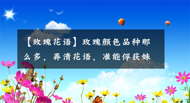 【玫瑰花语】玫瑰颜色品种那么多,弄清花语,准能俘获妹子心