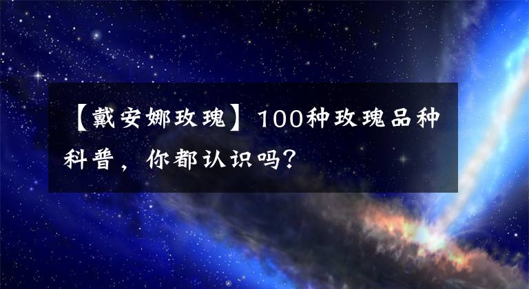 【戴安娜玫瑰】100种玫瑰品种科普,你都认识吗?