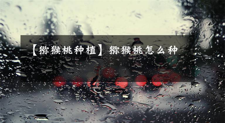 【猕猴桃种植】猕猴桃怎么种