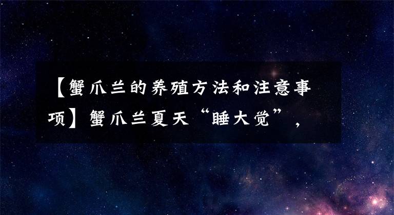 【蟹爪兰的养殖方法和注意事项】蟹爪兰夏天“睡大觉”,秋天才能“开花爆”,别养反了