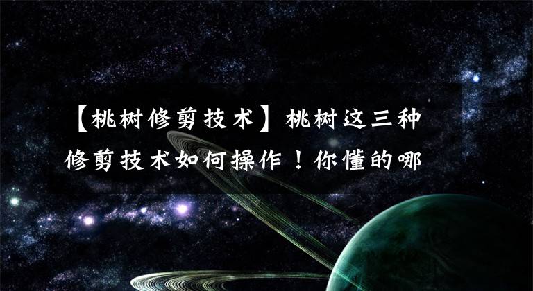 【桃树修剪技术】桃树这三种修剪技术如何操作!你懂的哪些呢