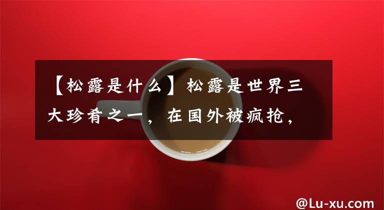 【松露是什么】松露是世界三大珍肴之一,在国外被疯抢,为何在我国却是猪饲料?