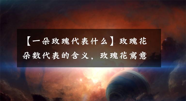 【一朵玫瑰代表什么】玫瑰花朵数代表的含义,玫瑰花寓意和象征