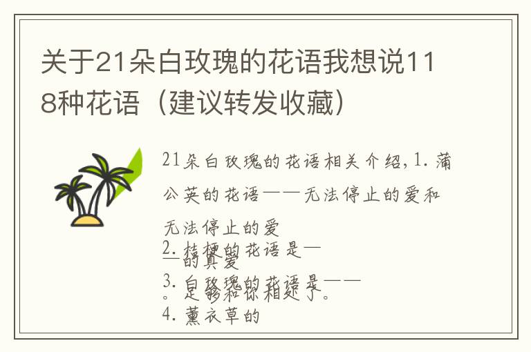 关于21朵白玫瑰的花语我想说118种花语(建议转发收藏)