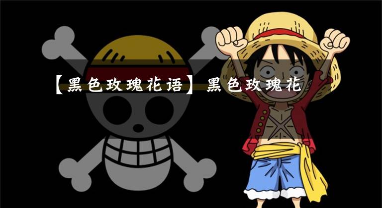 【黑色玫瑰花语】黑色玫瑰花