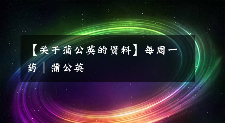 【关于蒲公英的资料】每周一药｜蒲公英