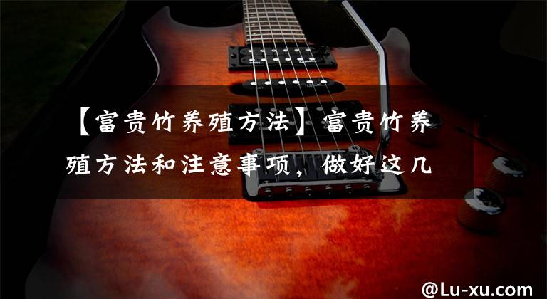 【富贵竹养殖方法】富贵竹养殖方法和注意事项,做好这几件事,植株健康叶色亮绿