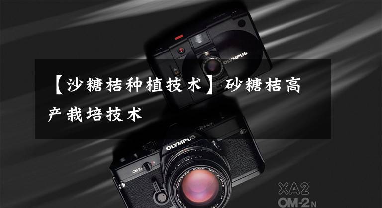 【沙糖桔种植技术】砂糖桔高产栽培技术