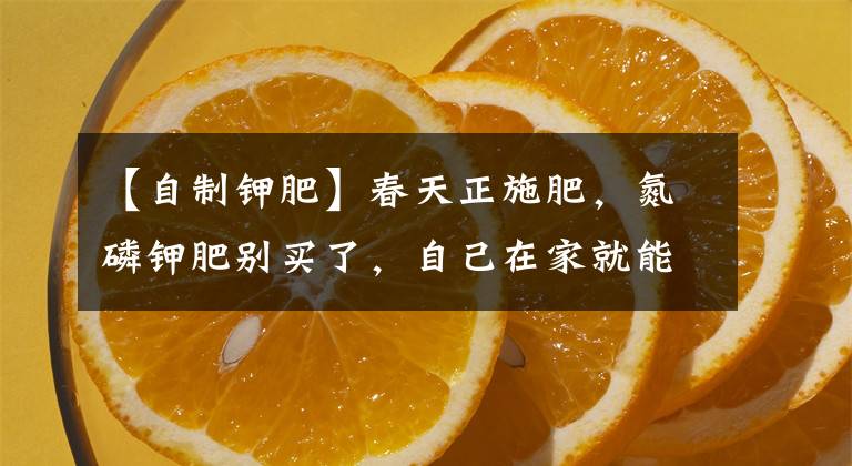 【自制钾肥】春天正施肥,氮磷钾肥别买了,自己在家就能做