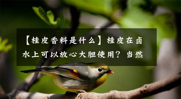 【桂皮香料是什么】桂皮在卤水上可以放心大胆使用?当然不是,还真不是都合适用它
