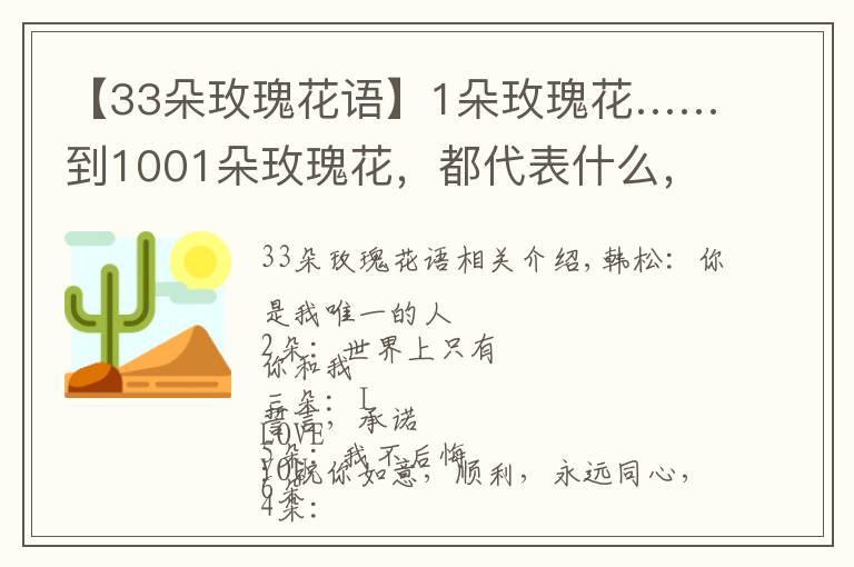 【33朵玫瑰花语】1朵玫瑰花……到1001朵玫瑰花,都代表什么,你知道吗?