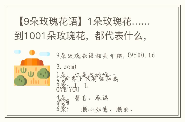 【9朵玫瑰花语】1朵玫瑰花……到1001朵玫瑰花,都代表什么,你知道吗?