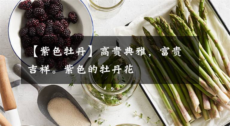 【紫色牡丹】高贵典雅，富贵吉祥。紫色的牡丹花