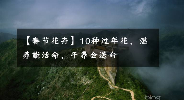 【春节花卉】10种过年花,湿养能活命,干养会送命