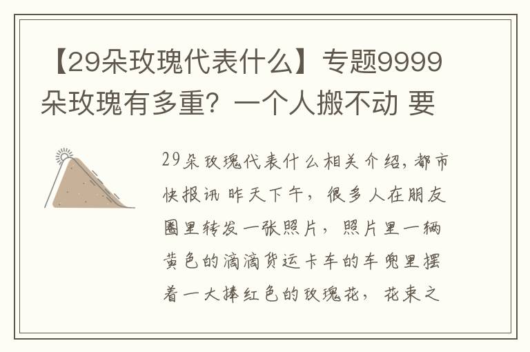 【29朵玫瑰代表什么】专题9999朵玫瑰有多重?一个人搬不动 要用货车送!现在结个婚总共要花多少钱?