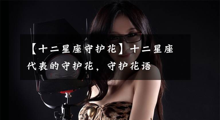 【十二星座守护花】十二星座代表的守护花,守护花语