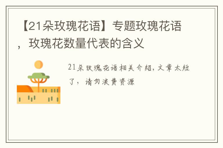 【21朵玫瑰花语】专题玫瑰花语,玫瑰花数量代表的含义