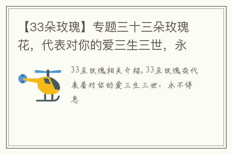 【33朵玫瑰】专题三十三朵玫瑰花,代表对你的爱三生三世,永不止息
