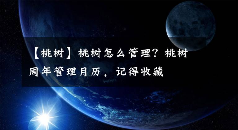 【桃树】桃树怎么管理？桃树周年管理月历，记得收藏