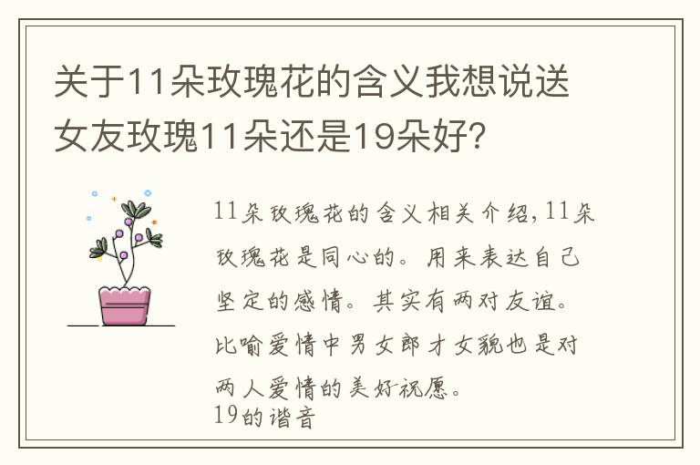 关于11朵玫瑰花的含义我想说送女友玫瑰11朵还是19朵好?