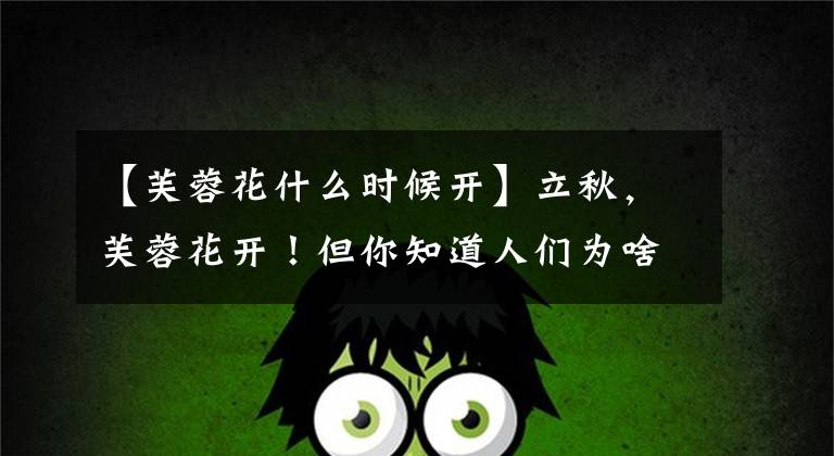 【芙蓉花什么时候开】立秋,芙蓉花开!但你知道人们为啥喊它“照水芙蓉”吗?