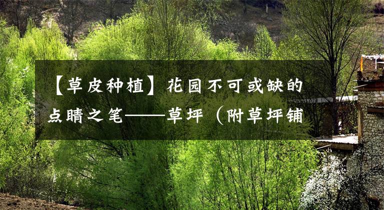 【草皮种植】花园不可或缺的点睛之笔——草坪(附草坪铺设、维护方法)