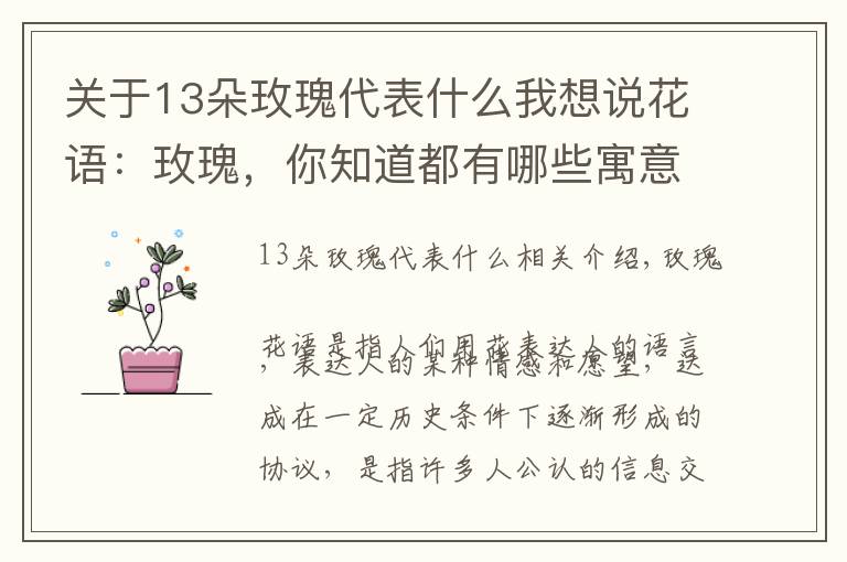 关于13朵玫瑰代表什么我想说花语:玫瑰,你知道都有哪些寓意吗?
