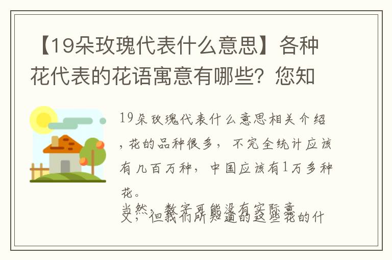 【19朵玫瑰代表什么意思】各种花代表的花语寓意有哪些?您知道多少呢