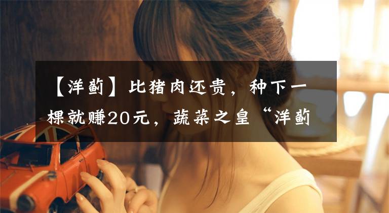 【洋蓟】比猪肉还贵,种下一棵就赚20元,蔬菜之皇“洋蓟”