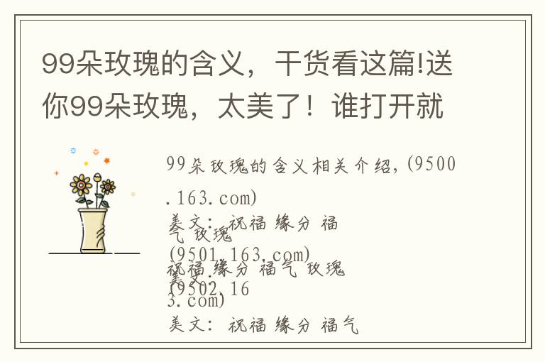 99朵玫瑰的含义,干货看这篇!送你99朵玫瑰,太美了!谁打开就是缘分,就是祝福!
