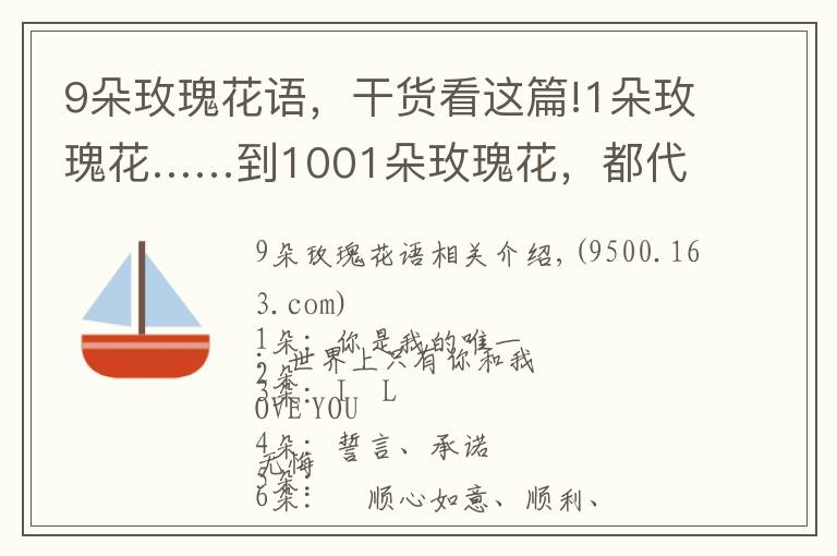 9朵玫瑰花语,干货看这篇!1朵玫瑰花……到1001朵玫瑰花,都代表什么,你知道吗?