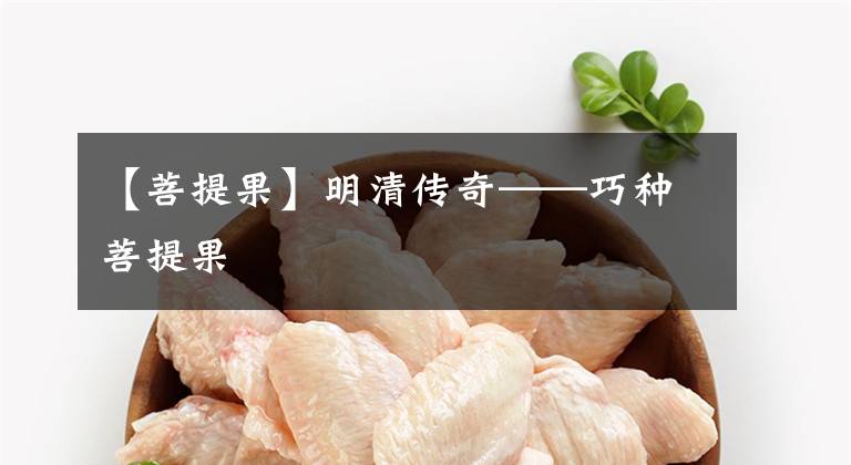 【菩提果】明清传奇——巧种菩提果