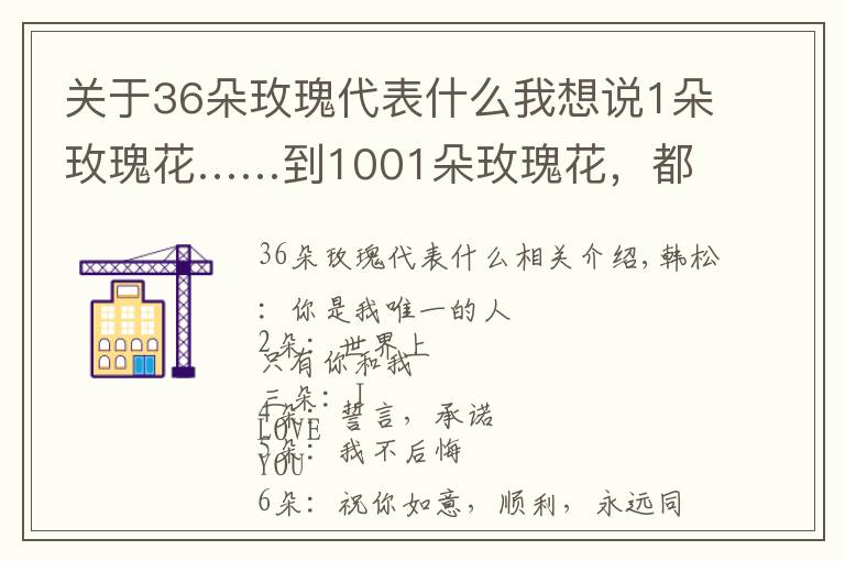 关于36朵玫瑰代表什么我想说1朵玫瑰花……到1001朵玫瑰花,都代表什么,你知道吗?