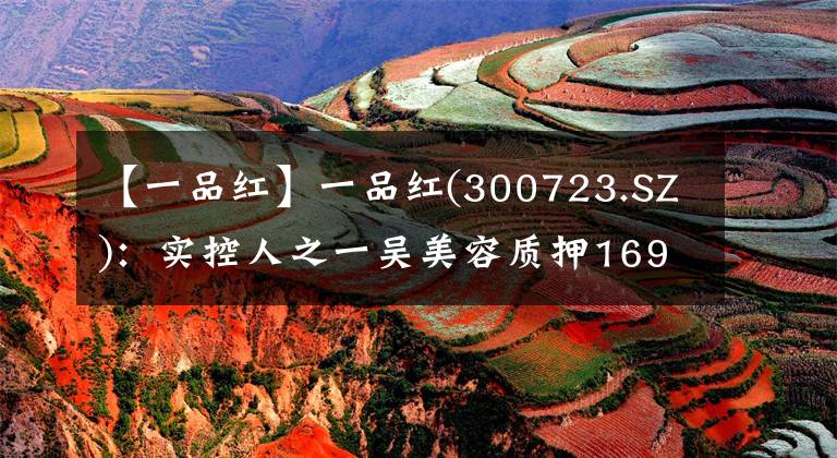 【一品红】一品红(300723.SZ)：实控人之一吴美容质押1699.104万股