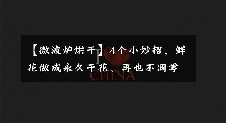 【微波炉烘干】4个小妙招,鲜花做成永久干花,再也不凋零