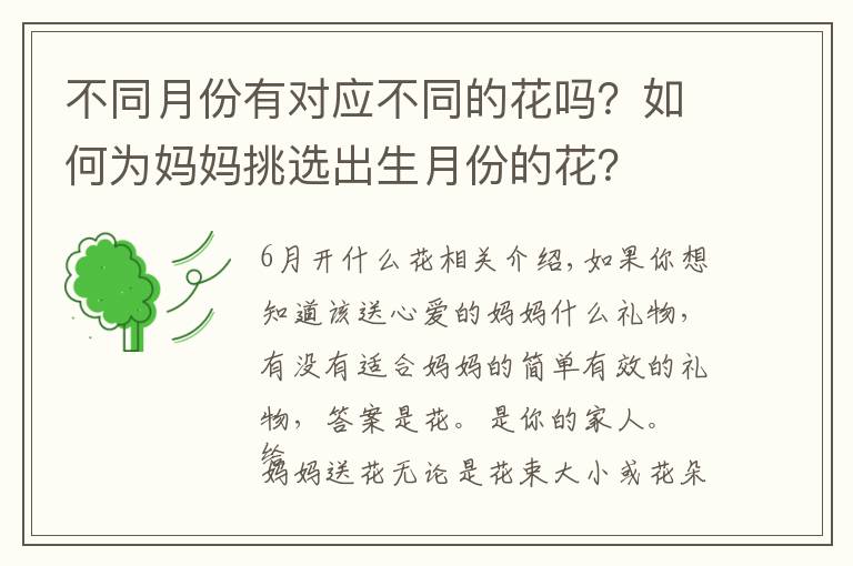 不同月份有对应不同的花吗？如何为妈妈挑选出生月份的花？