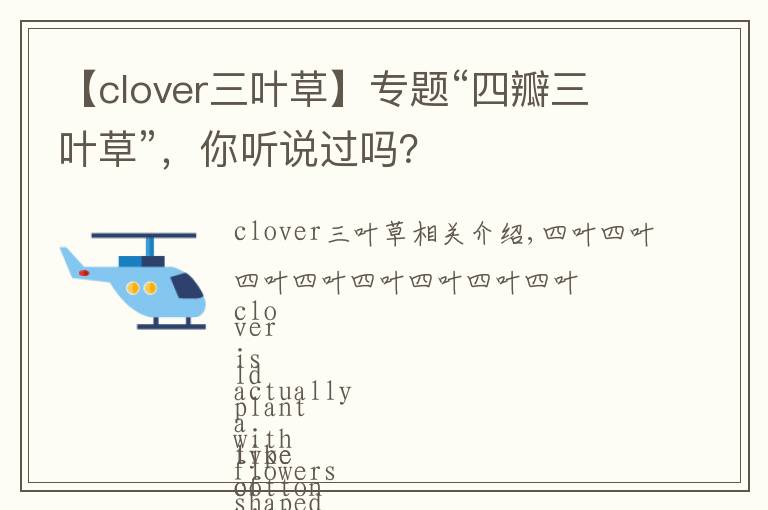 【clover三叶草】专题“四瓣三叶草”,你听说过吗?