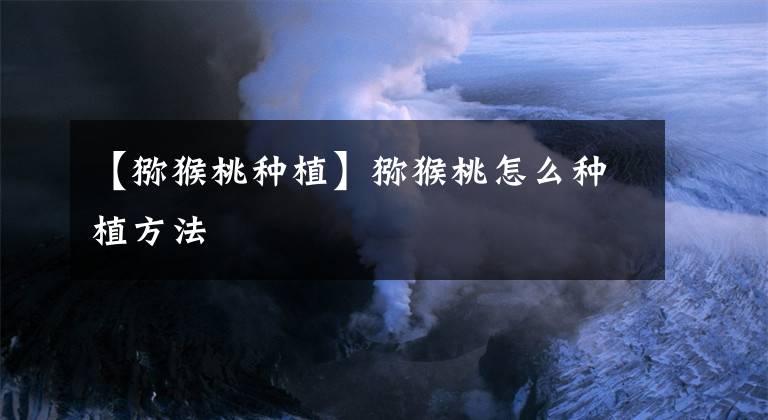 【猕猴桃种植】猕猴桃怎么种植方法