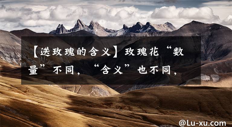 【送玫瑰的含义】玫瑰花“数量”不同，“含义”也不同，送错了容易闹笑话