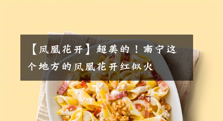 【凤凰花开】超美的!南宁这个地方的凤凰花开红似火