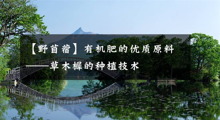 【野苜蓿】有机肥的优质原料——草木樨的种植技术