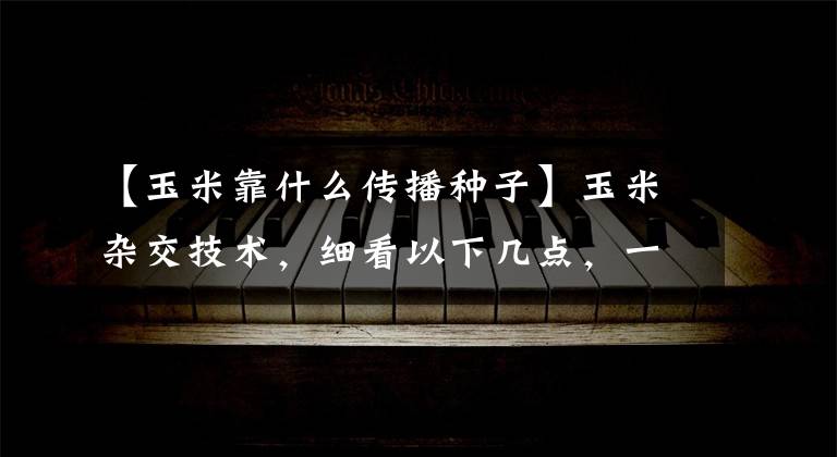 【玉米靠什么传播种子】玉米杂交技术,细看以下几点,一定可以帮到你