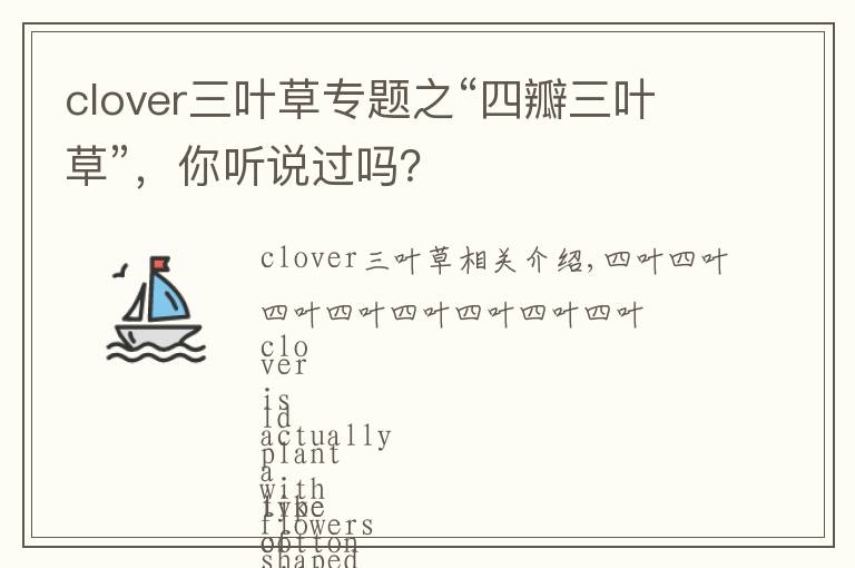 clover三叶草专题之“四瓣三叶草”,你听说过吗?