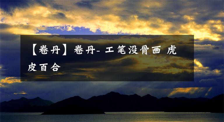 【卷丹】卷丹- 工笔没骨画 虎皮百合