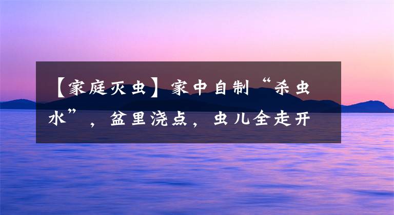 【家庭灭虫】家中自制“杀虫水”，盆里浇点，虫儿全走开