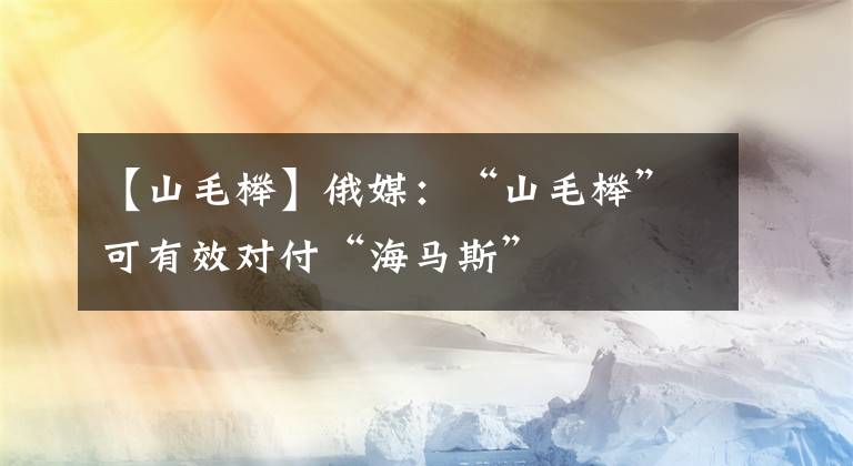 【山毛榉】俄媒:“山毛榉”可有效对付“海马斯”