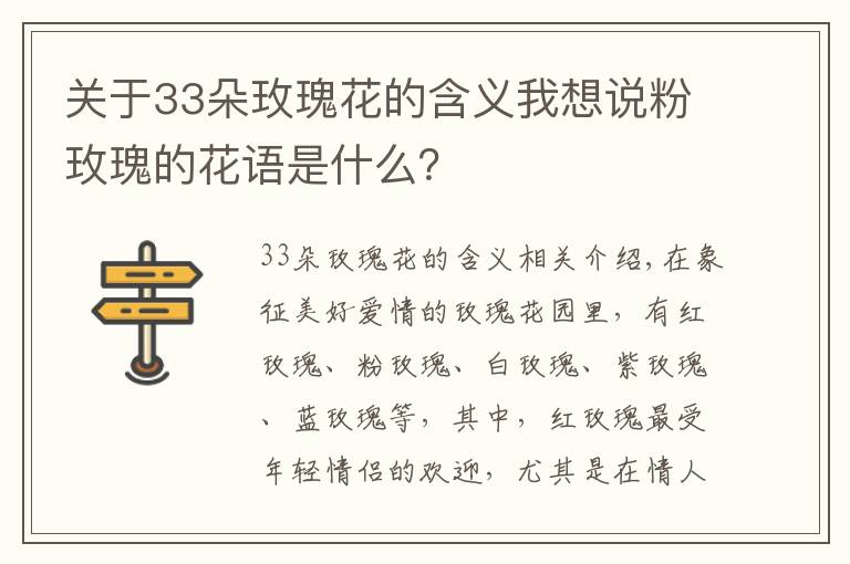 关于33朵玫瑰花的含义我想说粉玫瑰的花语是什么?